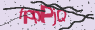 Captcha認証コード