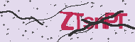 Captcha認証コード